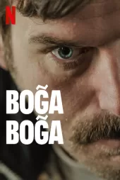 Boğa Boğa