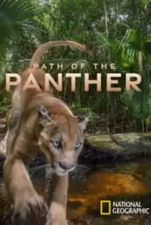 Path of the Panther