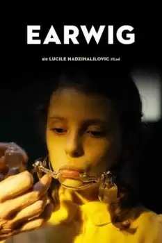 Earwig