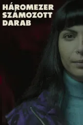 Three Thousand Numbered Pieces