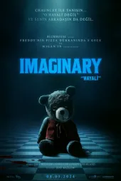 Imaginary