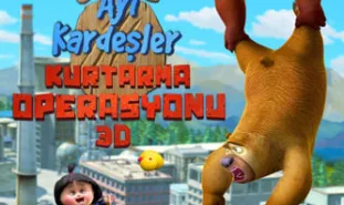 Ayı Kardeşler 1: Kurtarma Operasyonu