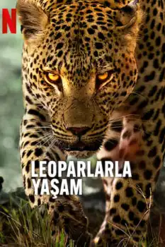 Leoparlarla Yaşam