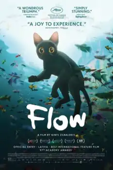 Flow