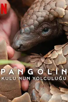 Pangolin: Kulu'nun Yolculuğu