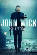 John Wick Serisi
