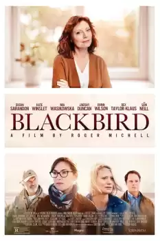 Blackbird