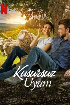 Kusursuz Uyum