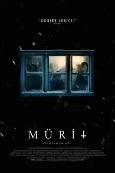 Mürit