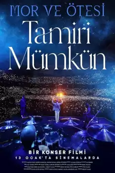 Tamiri Mümkün